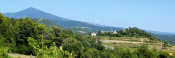 Vigneron de la vallée du Rhône : Domaine Valand