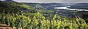 Vigneron de la vallée du Rhône : Domaine Madeloc